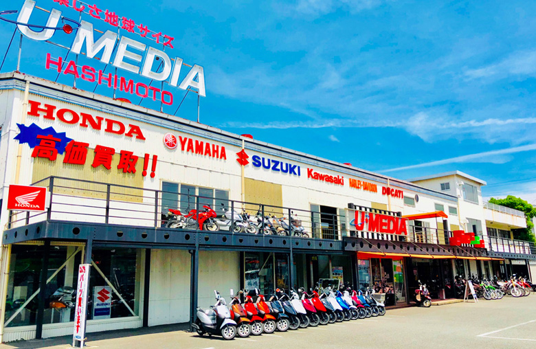 ユーメディア橋本